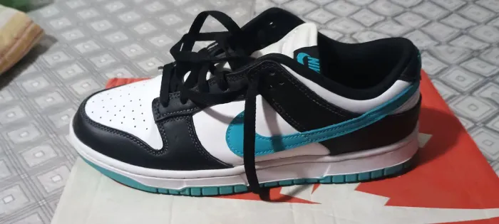 Nike Dunk.