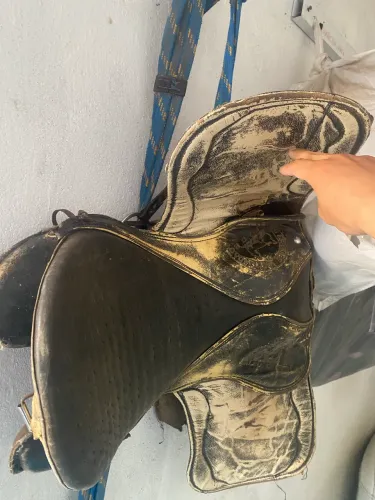 Sela de cavalo