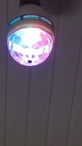 Jogo de luz $20