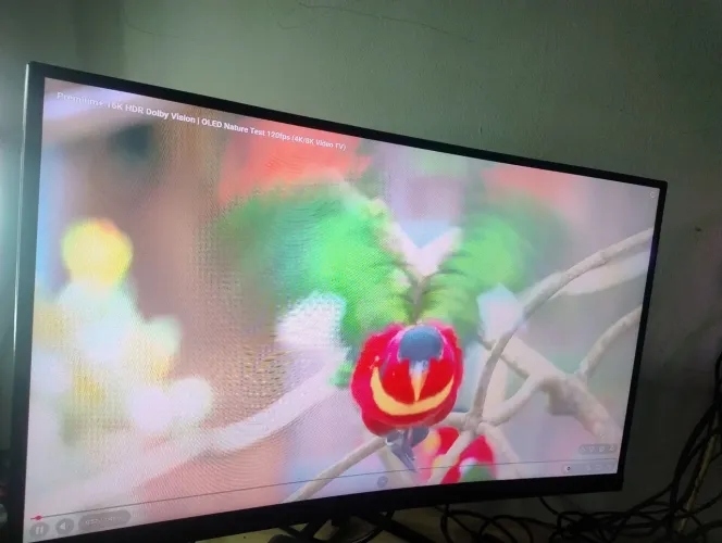 Monitor gamer tela curva 23.6 100 hz