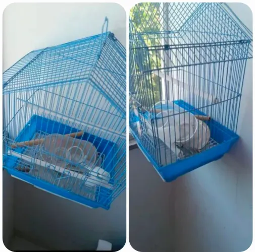 Vendo Gaiola em perfeito estado