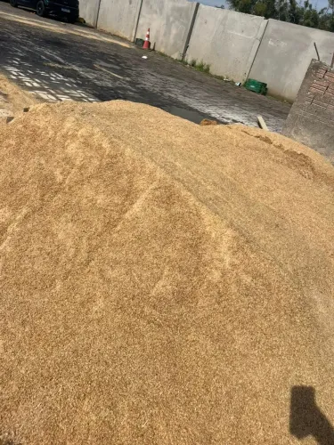 Ração peixe farelo de cevada