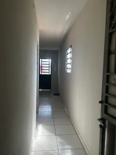 KIT NET JACINTINHO
