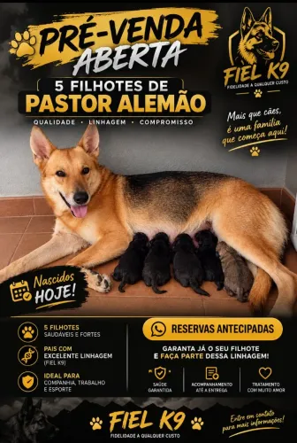 Pré venda!!