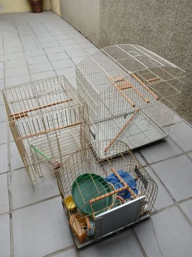 Vendo todas gaiolas pôr 210 reais
