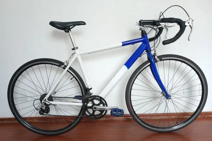 Caloi 10 Speed - Aro 29