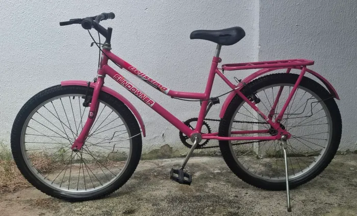Bicicleta aro 24