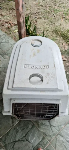 Caixa de transporte n° 7 Grande