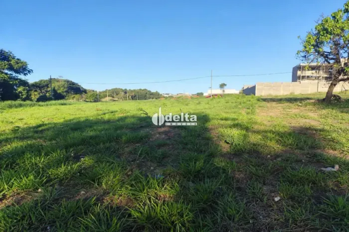 Área disponível para venda ano bairro Nossa Senhora das Graças em Uberlândia-MG