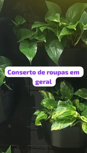 Vaga para costureira