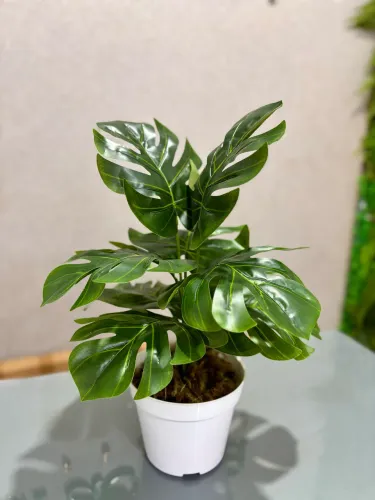 Arranjo com Planta Artificial 