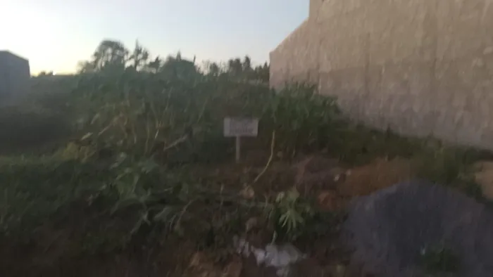 Lotes cheio de casa pronta tem vizinho