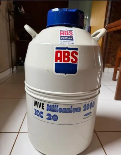 Galão Criogênico MVE Millennium 2000 XC 20 - 20 L