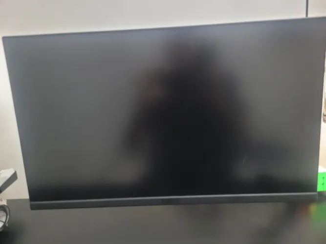 Monitor gamer