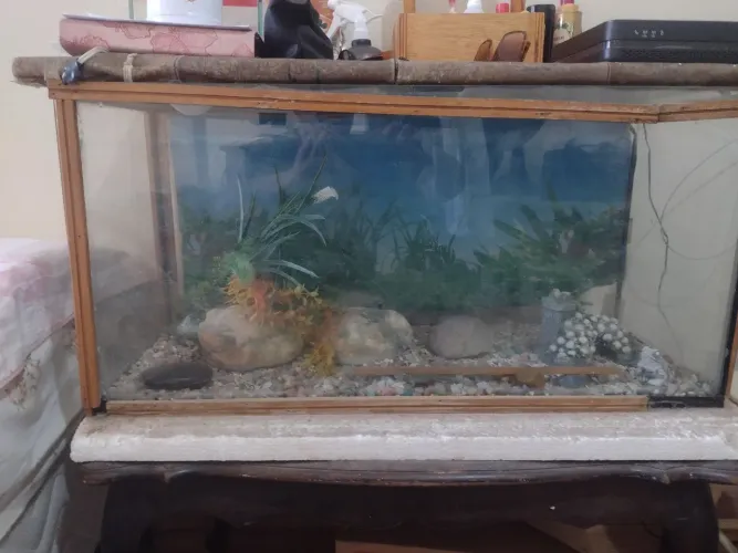 Aquário com ornamentos e baqueta