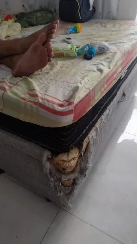 Doação
