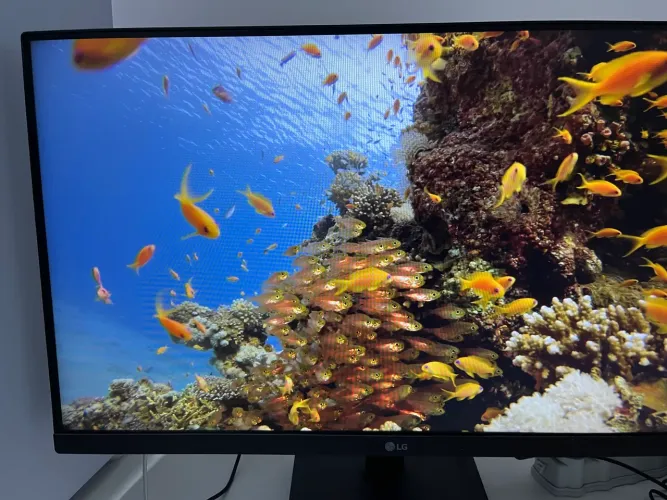 Monitor Pc Gamer Antirreflexo FullHD LG 23.8" IPS - 24MP400