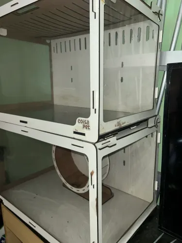 Terrário hamster gaiola casa