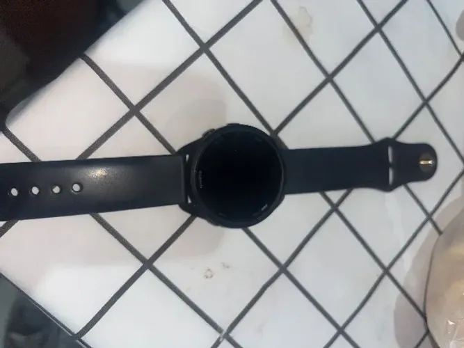 Garmin 165