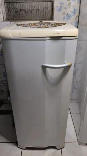 Freezer Vertical Electrolux