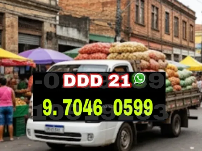 Frete Econômico e Fretes para Toda Região - Serviço de Transportes