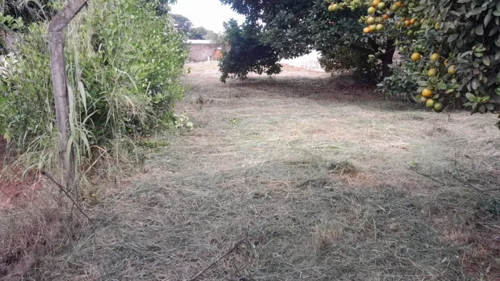 Chácara Exclusiva com 500m de Área Construída no Residencial Vista Alegre REF: 80