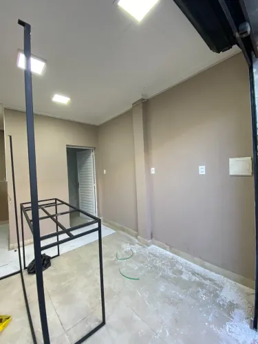 Pintor Profissional 