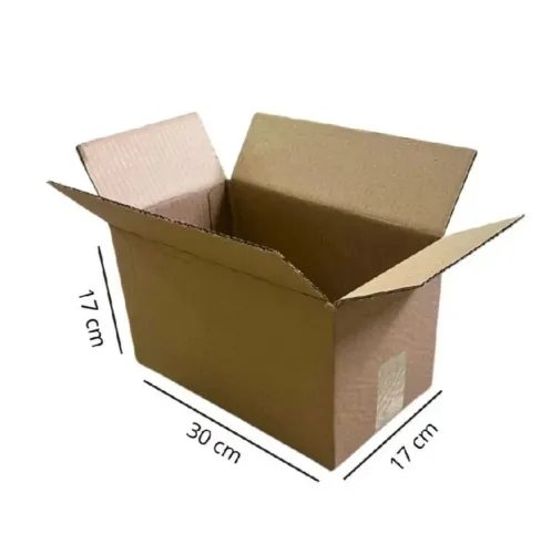 25 caixas 30x17x17 de papelão