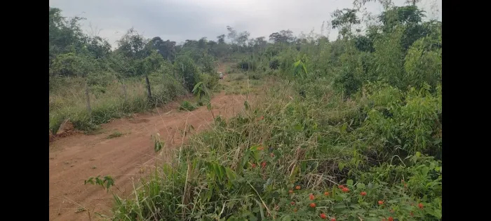 Ótimo terreno próximo ao bugre