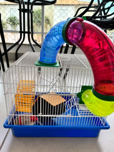 Gaiola hamster