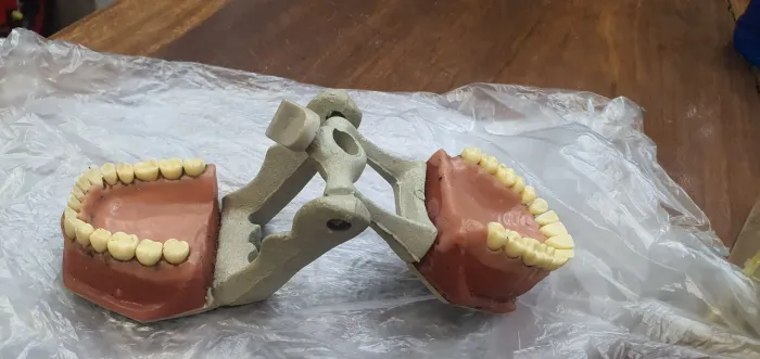 Vende modelo de odontológia