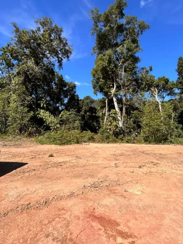 15ha no Bairro Santa Maria - São Bonifácio/SC