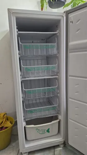 Freezer vertical