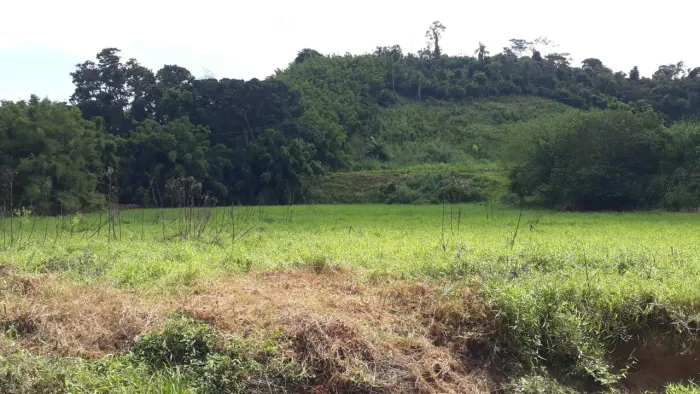 Excelente Propriedade Rural