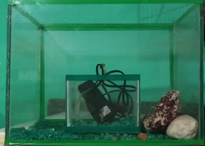 Aquário para Peixes Ornamentais.