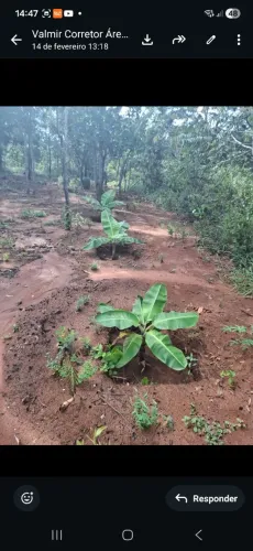 Vendo chacrinhas 50.000,00