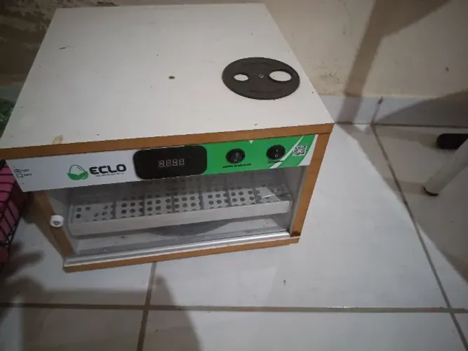Chocadeira automática 