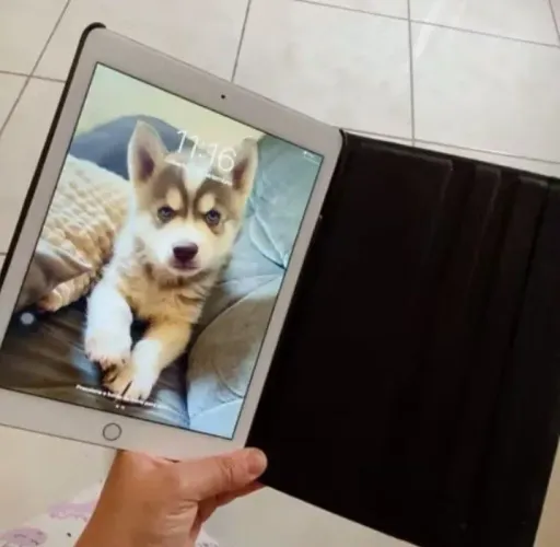 iPad Air2 16GB Tela 9.7 Seminovo Completo com Película+Capinha Preta+Cabo de Carregador