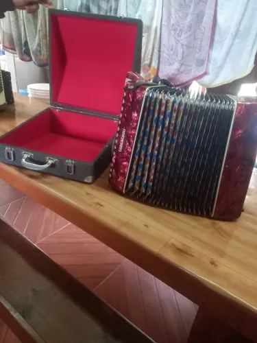 Vende-se gaitas todeschinis