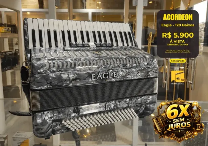 Acordeon 120 baixos Eagle Cinza