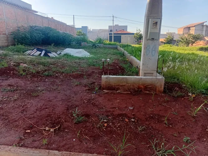 Oportunidade de negócio, Leia o anúncio porfavor.