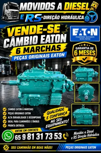 Cambio eanton 6