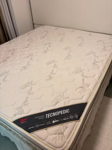 Cama box Castor Queen