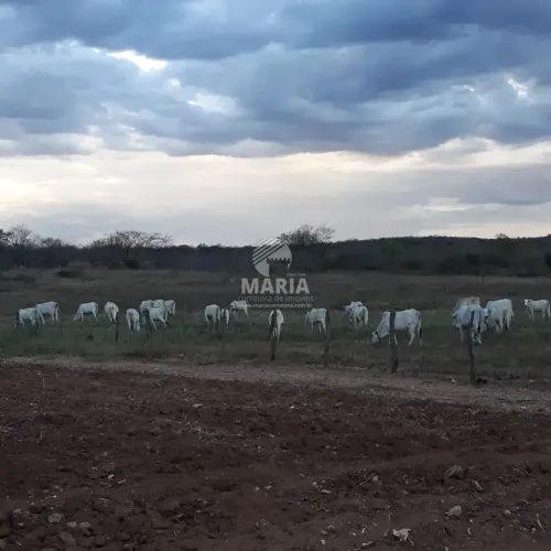Imóvel para venda possui 2400000 metros quadrados em Zona Rural - Sertânia - PE