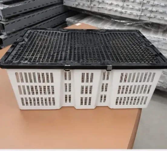 Caixas plásticas com tampa