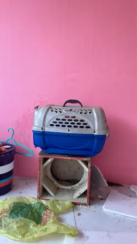 casa de gato 