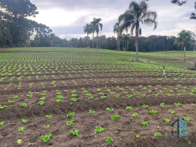 Terreno LIMPO plano 21.000 mil m², a venda no Umbará em Curitiba - PR