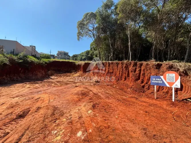 Terreno Padrão em Ponta Grossa