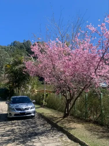 Toyota Corolla XRS 2.0 Flex 16V Aut. 2014