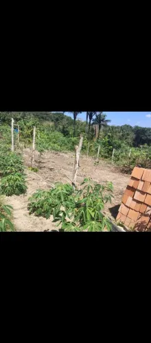 Terreno na estrada do brasileirinho km 11